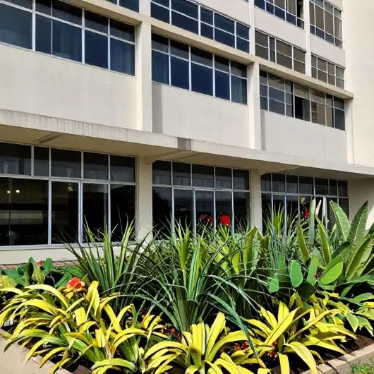 Academia Gaviões