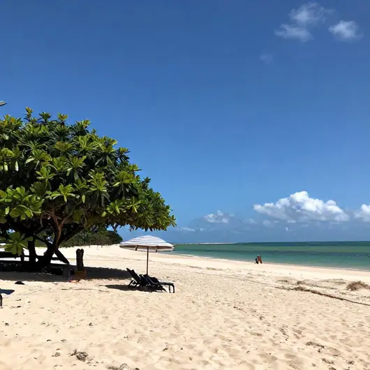 Descubra a Melhor Época para Visitar João Pessoa - PB