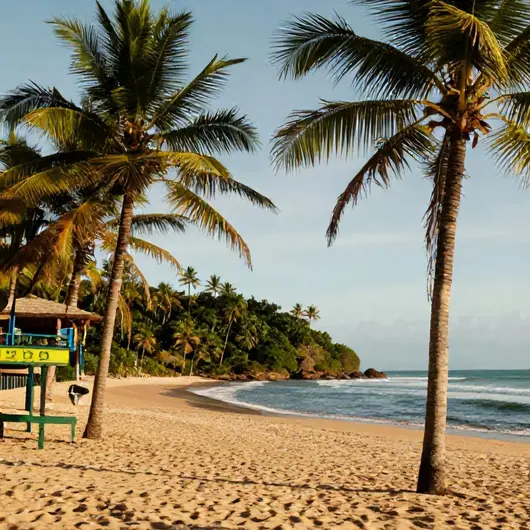 Descubra a Praia de Coqueirinho Descubra a Praia de Coqueirinho