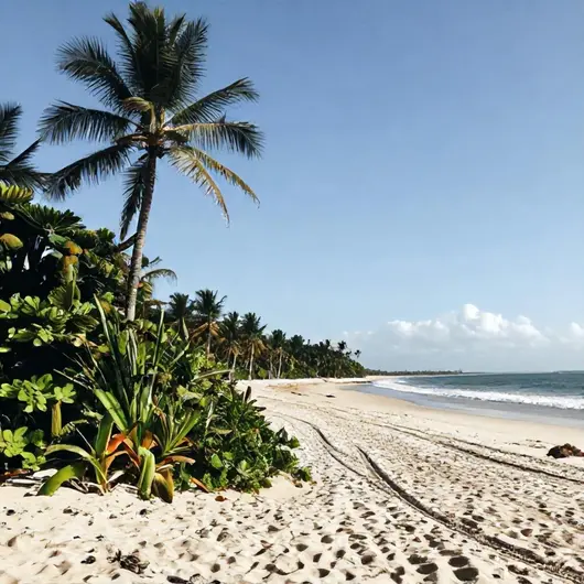 Descubra a Praia do Seixas