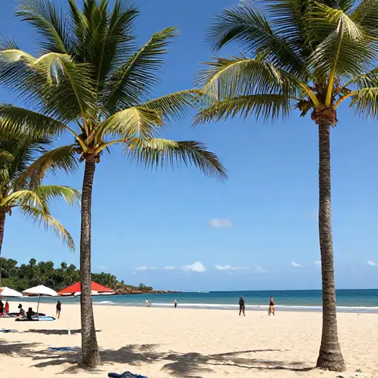 Descubra a Praia do Sol: O Paraíso em João Pessoa