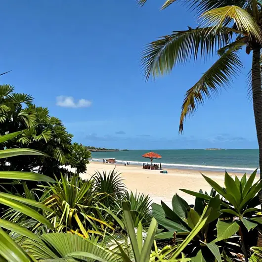 Descubra a Praia Soul