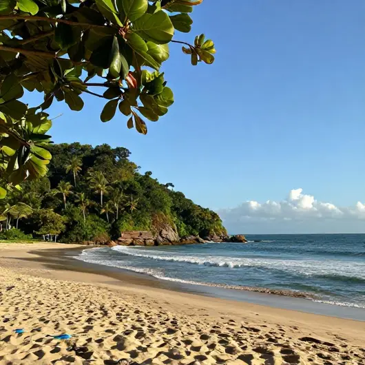 Explore Tambaba & Coqueirinho Explore Tambaba & Coqueirinho