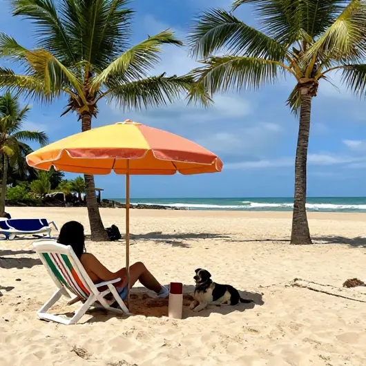 Hospedagem Pet Friendly em João Pessoa: Dicas para Viajar com Seu Pet