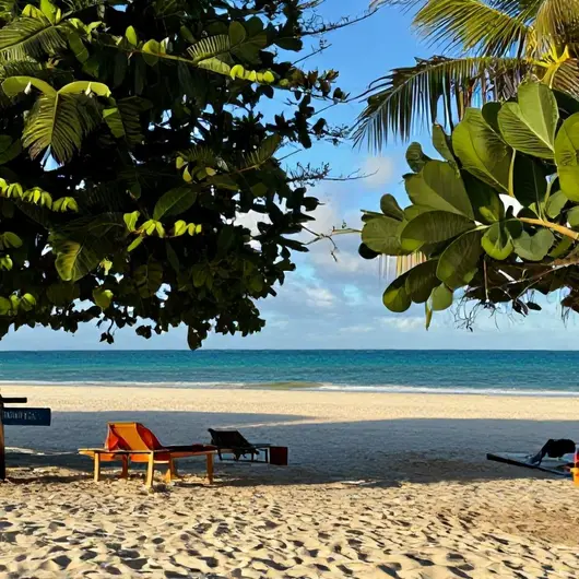 Mar Do Caribessa: Oásis de Relaxamento na Praia