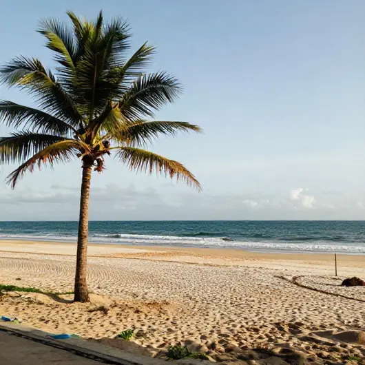 Praia de Camboinha: Um Paraíso à Beira-Mar