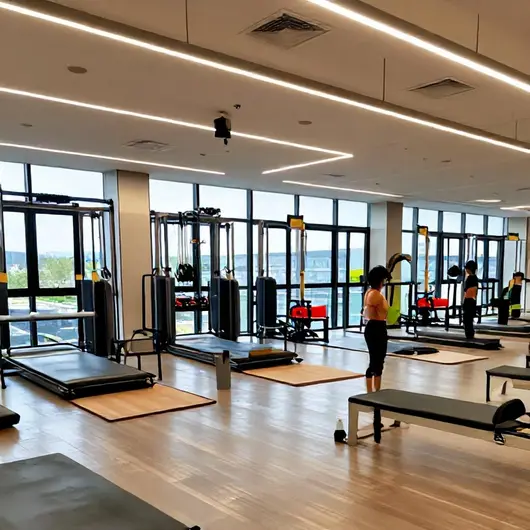 Soullife Academia Soullife Academia